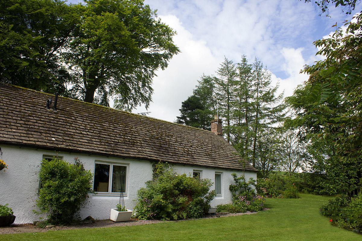Druminoch Angus Exterior photo